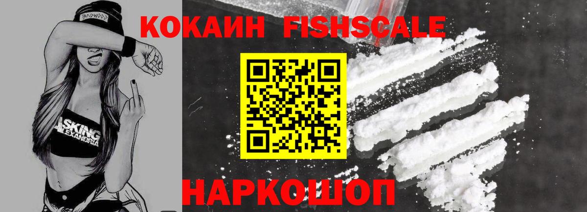 Коряжма  Cocaine  Вход с VPN  Кокаин Fish Scale  где можно купить   Cocaine Fish Scale 