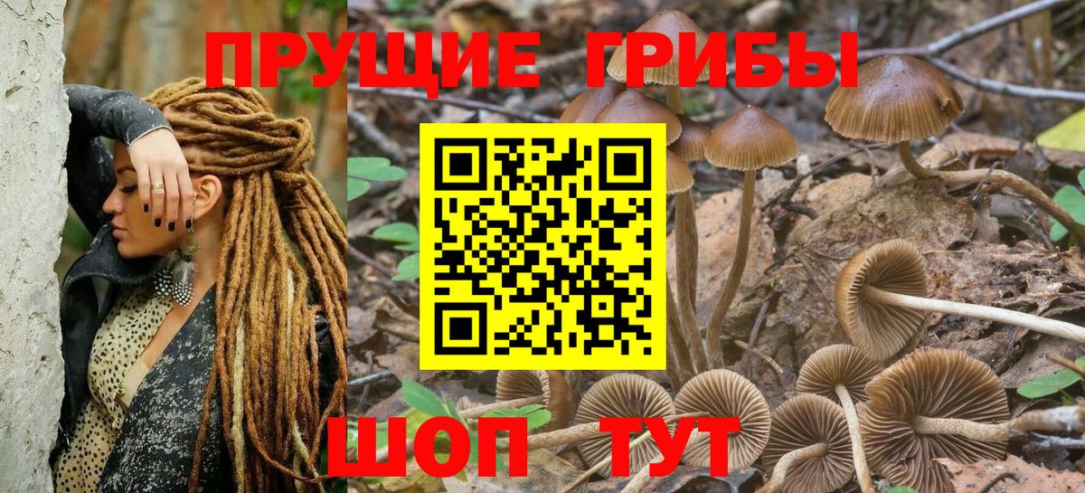 Коряжма  продажа наркотиков  Вход с VPN  Галлюциногенные грибы мухоморы 
